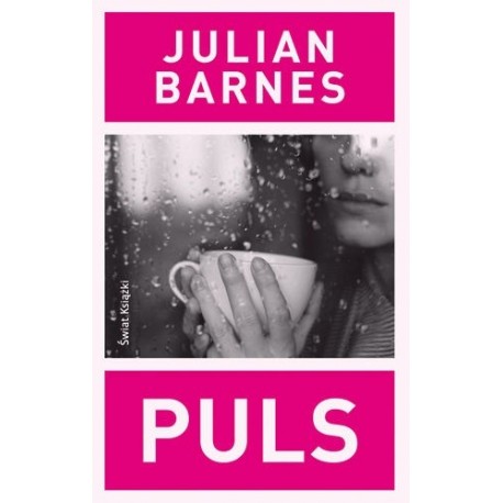 Puls Julian Barnes