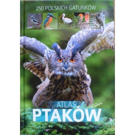 Atlas ptaków 250 polskich gatunków Dominik Marchowski