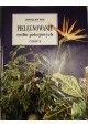 Pielęgnowanie roślin pokojowych część II Jarosław Rak