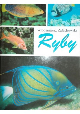 Ryby Włodzimierz Załachowski