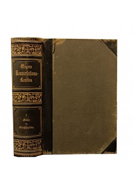 Meyers Konversations-Lexikon - 7 Band 1894r