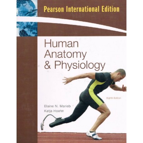 Human anatomy & physiology E. N. Marieb K. Hoehn