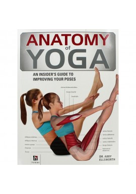Anatomy of yoga Dr. Abby Ellsworth