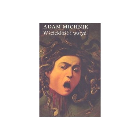 Wściekłość i wstyd Adam Michnik