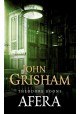 Theodore Boone Afera John Grisham