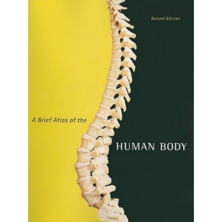 A Brief Atlas of the Human Body Matt Hutchinson, Jon Mallatt, Elaine N. Marieb, Patricia Brady Wilhelm