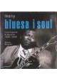 Ikony bluesa i soul Ilustrowane biografie 1900-2000 Henry Russell