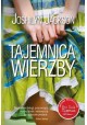 Tajemnica wierzby Joshilyn Jackson