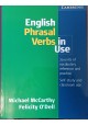 English Phrasal Verbs in use 70 units of vocabulary reference and practice Michael McCarthy, Felicity O'Dell