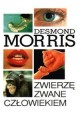 Zwierzę zwane człowiekiem Desmond Morris