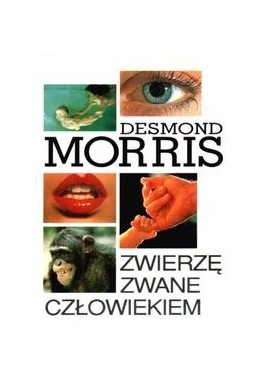 Zwierzę zwane człowiekiem Desmond Morris