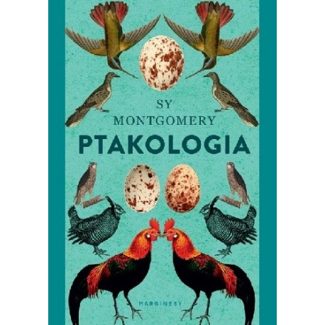 Ptakologia Sy Montgomery