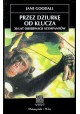 Przez dziurkę od klucza 30 lat obserwacji szympansów Jane Goodall