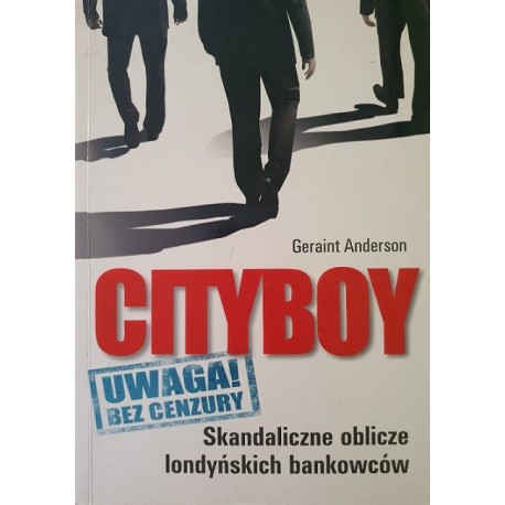 Cityboy Skandaliczne Oblicze Londyńskich Bankowców Geraint Anderson