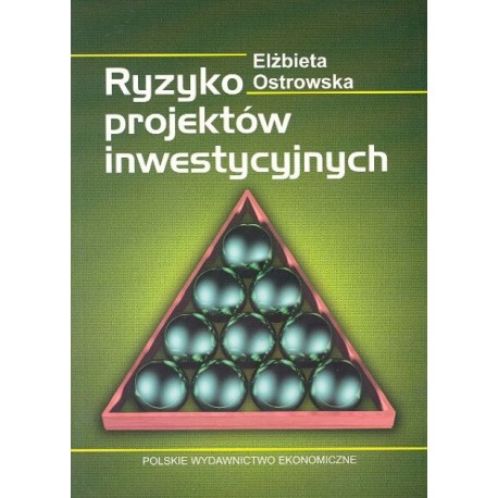 Ryzyko projektów inwestycyjnych Elżbieta Ostrowska