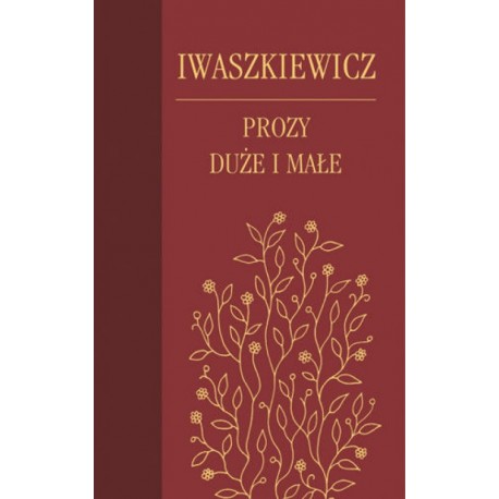 Prozy duże i małe Jarosław Iwaszkiewicz